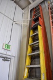 Professional Ladders (3)