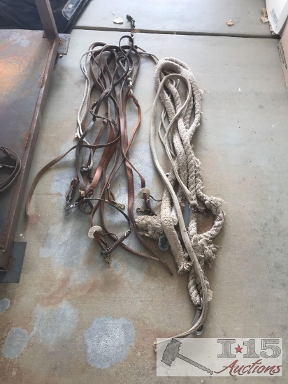 Misc Reins and Heavy Lead Ropes
