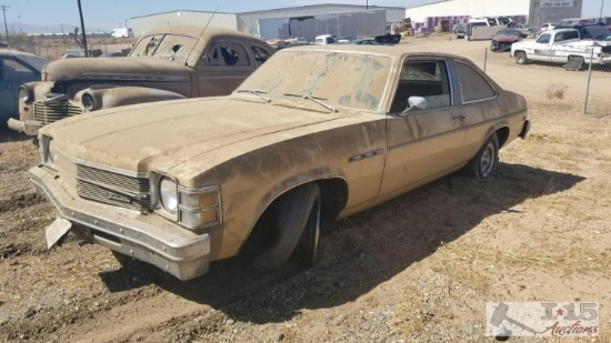 1976 Buick Skylark 2 Door