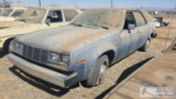 1982 AMC Concord Station Wagon NEW PHOTOS