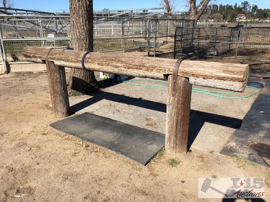 Hitching post THIS IS REMOVED FROM GROUND AND READY TO GO