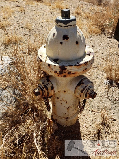 1960 Mueller Fire Hydrant