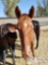 2018 Weanling Filly out of Little Bunny Foo Foo by Cross Traffic