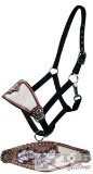 Adjustable nylon bronc halter with painted feather and filigree inlay noseband