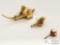 1 14k Gold Flower Broach w/ 3 Accent Diamonds, 1 14k Gold Miniature Flower Broach w/2 Accent