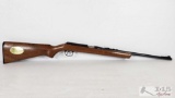 Daisy & Heddon VL .20 Cal Pump Rifle with Four Boxes of Caseless Ammo