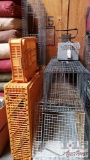 Misc. Traps and Dog Cages