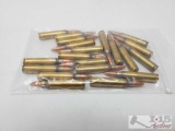 20rds. .223 Ammunition