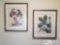 Pair of Framed and Signed John A. Ruthven Prints