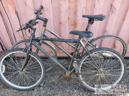 Roadmaster and Trek Bicycles