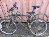 Roadmaster and Trek Bicycles