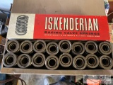 Iskenderian Racing Valve Springs Set(16)