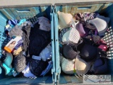 Women's Bras and Underwear