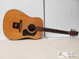 Washburn D-10N 6-String Acoustic Guitar