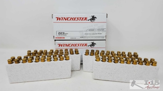 Approx 80 Rounds of 223 Rem