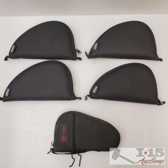 5 Gun Cases