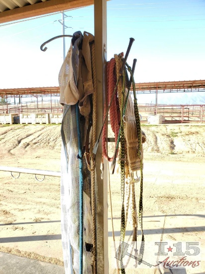 Misc Horse Tack