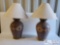 2 Lamps with Lampshades