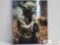 Yoda Photograph Signed By Frank Oz - Has COA Star Wars