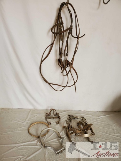 Bridle, Bits, Rawhide Nose Band, Dental Tool and a Donal Horse Perfecter