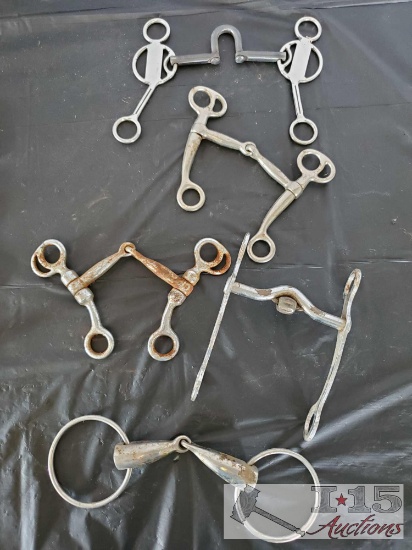 Five cowboy bits, snaffles, Roller, and Correctional Bits