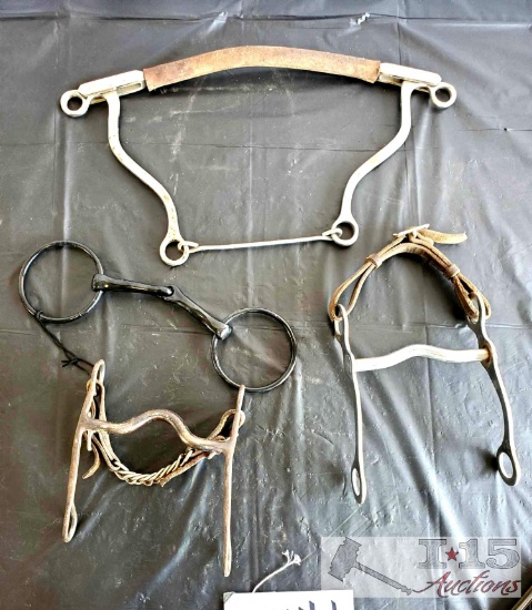 Two Cowboy Curbs, a Ring Snaffle and a Hackamore Bit