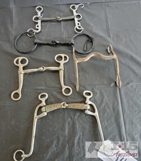 Three Snaffles, Walking Horse Bit and a Cowboy Curb Bit