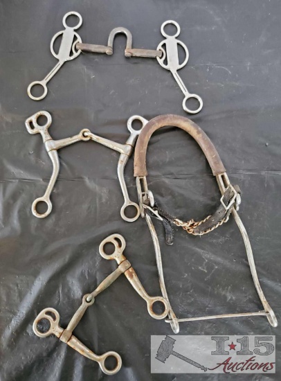 Four Bits, Snaffles, Correctional and a Hackamore Bit