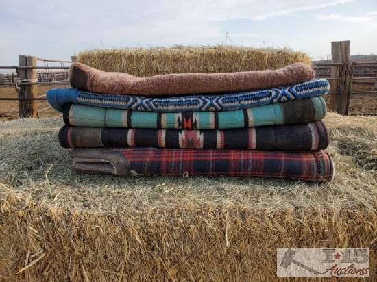 Five Saddle Pads