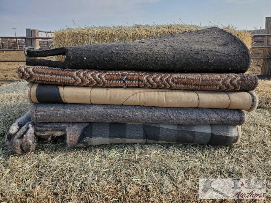 Five Saddle Pads
