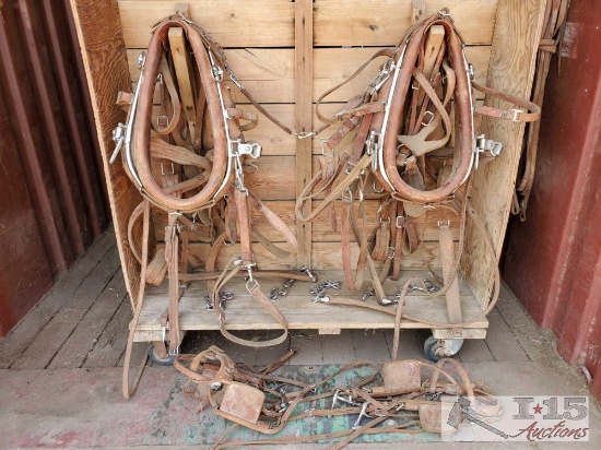 Double Complete New Harness Leather Horse Size Harness with Bridles and Collars