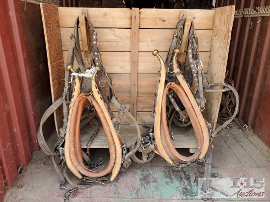 Draft Horse Harness for a Team with Collars
