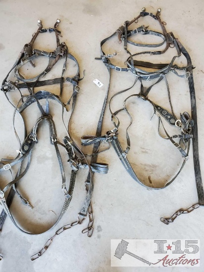 Double Up Draft Horse Harness and Hames