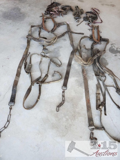 Double Up Draft Horse Harness with Siler Studs, Hames and Four Draft Headstalls