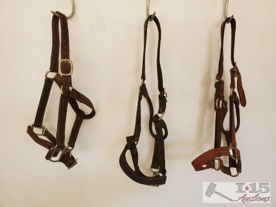 3-Harness Leather Horse Size Halters