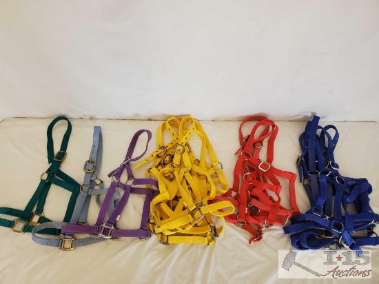 New Standard Horse Size Nylon Halters in all Colors