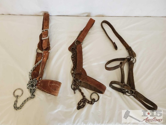 3-Harness Leather Livestock Halters