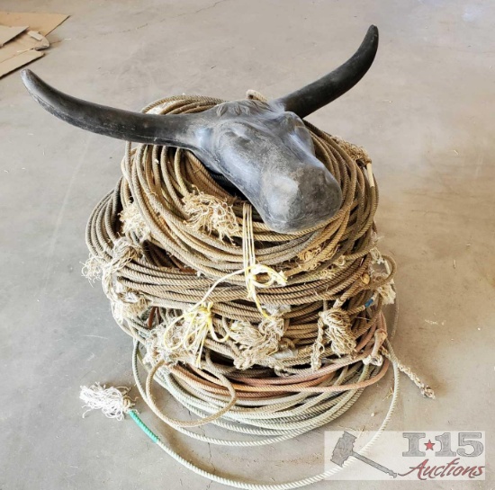1 Steer Head Roping Dummy and Bundles of Misc Used Ropes
