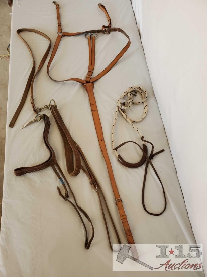 Cowboy Running Martingale and Three Tie Downs