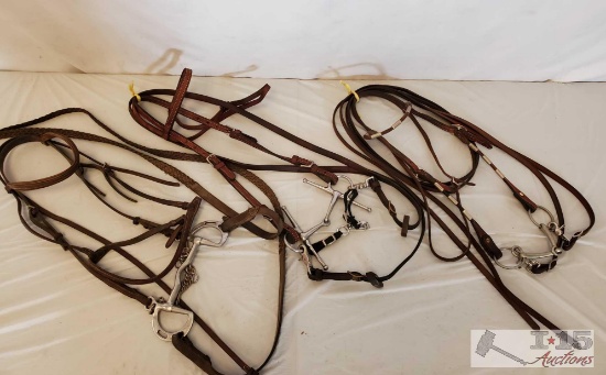 3 Complete Good Using Bridles
