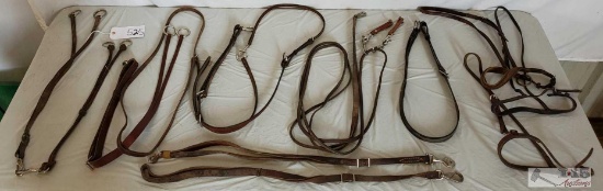 Training Lot Full of Cavasons, Martingales