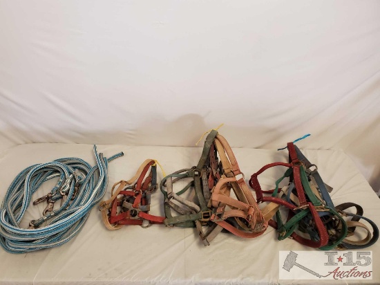Lot of Nylon Webbed Horse Halters, Foal/Standard/Large Sizes and Lead Ropes
