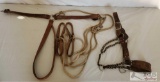 Heavy Harness Leather Hock Hobbles and a Livestock Halter