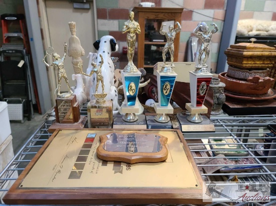 Trophies & Plagues