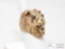 14k Gold Lion Ring With Diamond, 22.9g