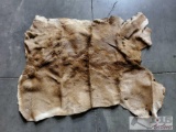 Deer Hide