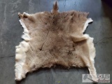 Deer Hide