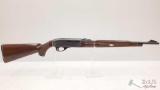 Remington Nylon 66 .22 Semi Auto Rifle