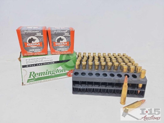 176 Rounds of 223 REM