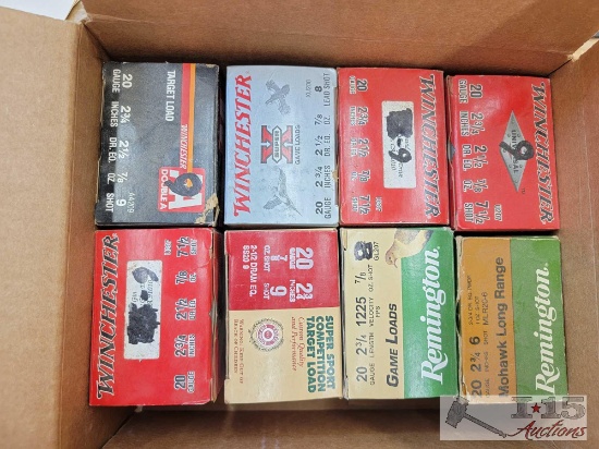 200 Rounds of 20GA